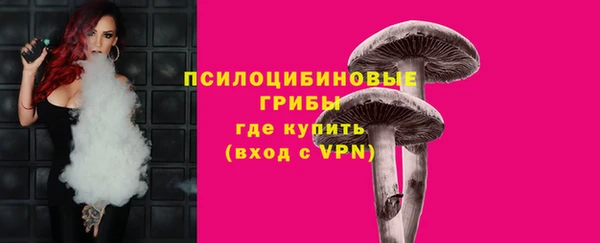 spice Абинск