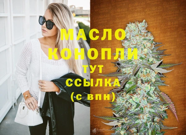 тгк Абаза