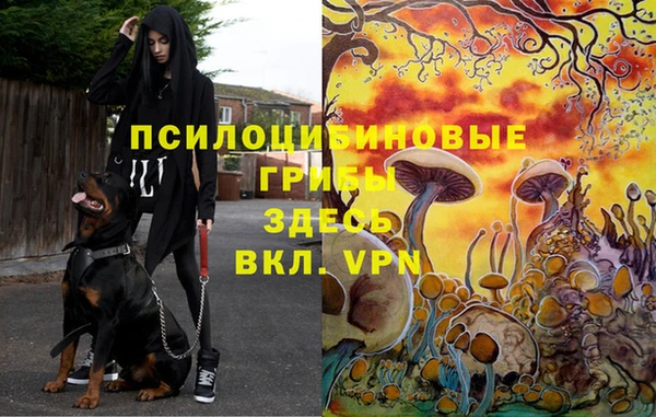 тгк Абаза