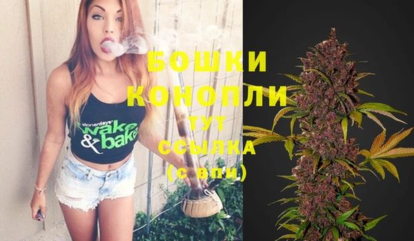 spice Абинск