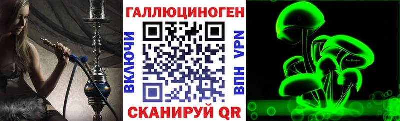 где продают   Пойковский  Псилоцибиновые грибы Magic Shrooms 