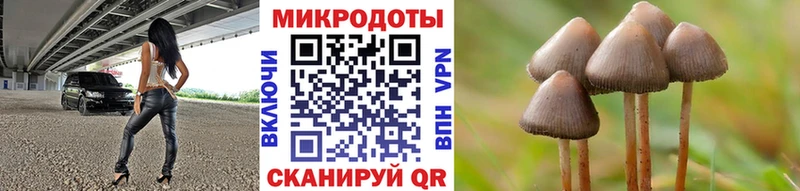 Галлюциногенные грибы Cubensis Пойковский